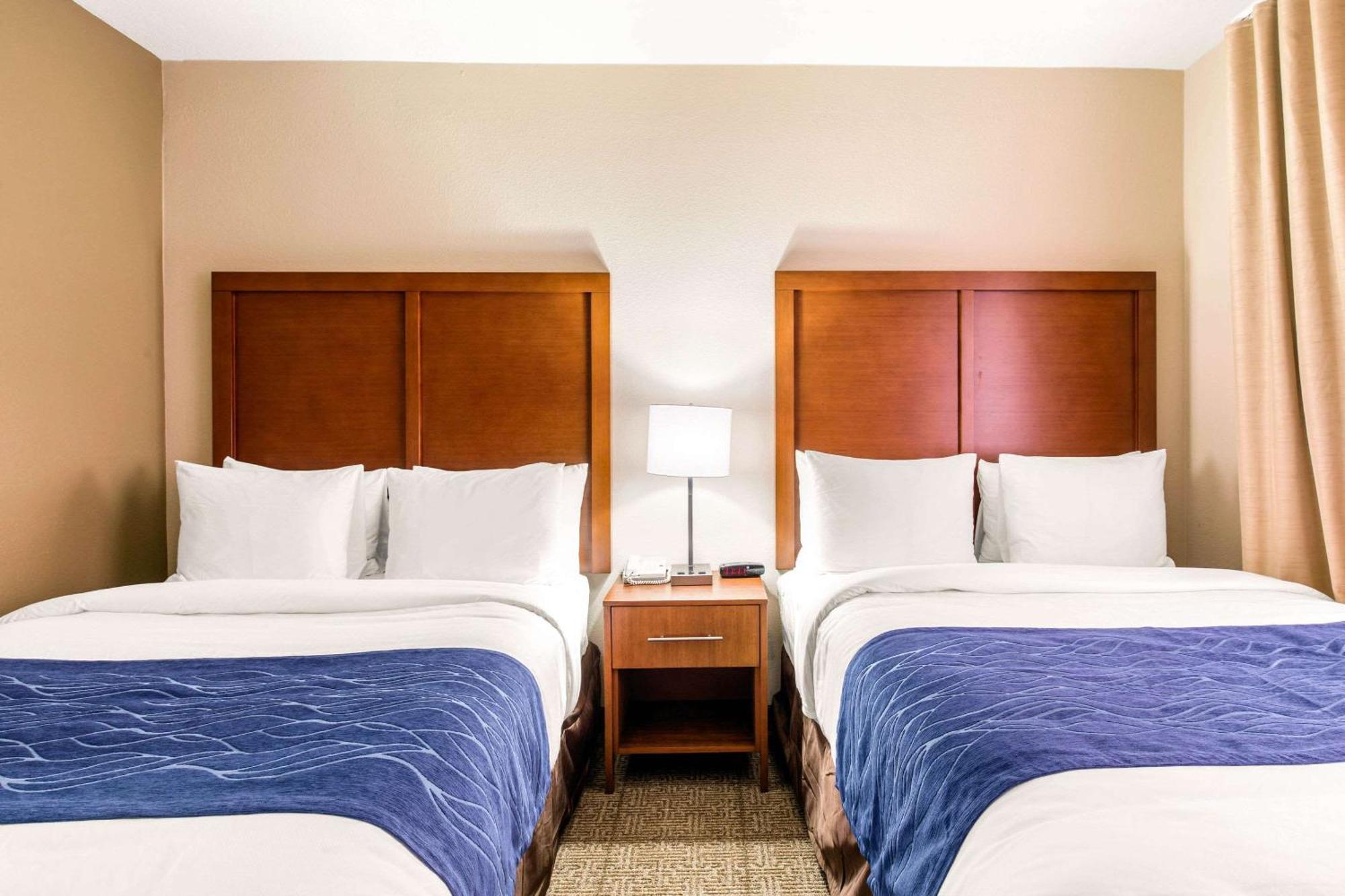 Comfort Inn & Suites Iah Bush Airport - East Humble Εξωτερικό φωτογραφία