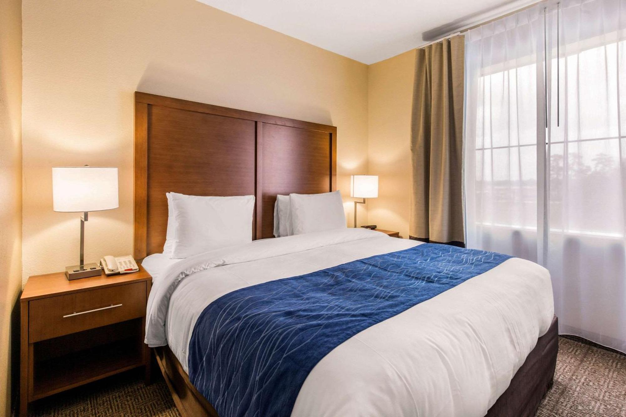 Comfort Inn & Suites Iah Bush Airport - East Humble Εξωτερικό φωτογραφία